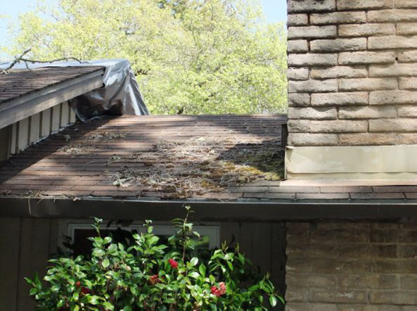 roof with debris on top found by insurance inspector